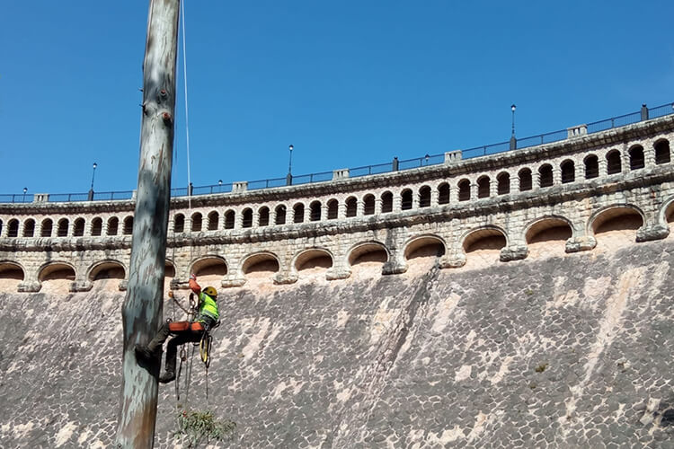 Inspección de presas